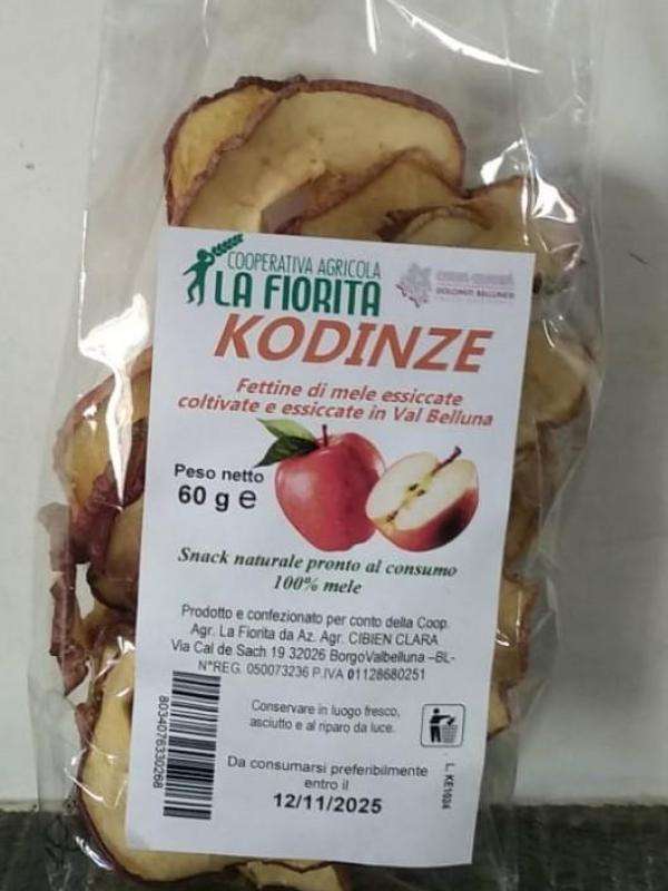 Kodinze